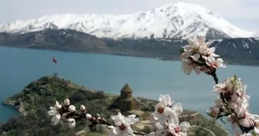 Akdamar Adası çiçek açtı