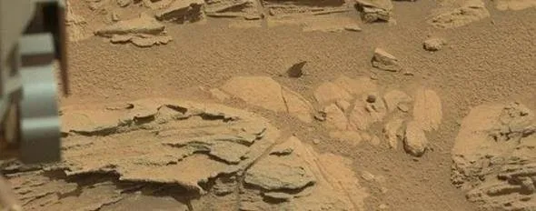 Uzayda hayat var mı sorusuna NASA'dan net yanıt... Bu kareleri ilk kez paylaştılar