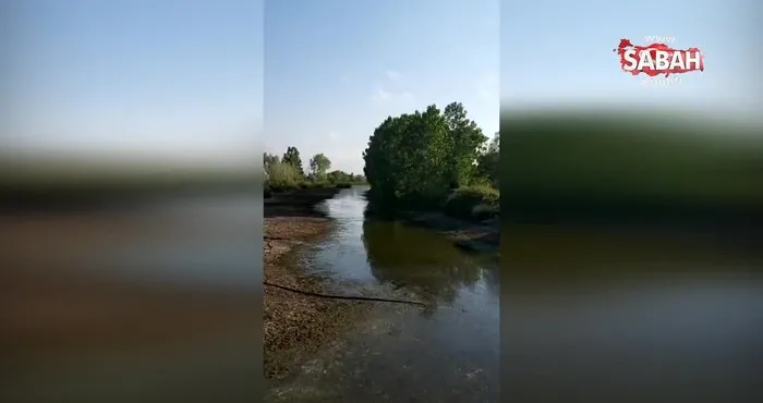 Samsun Çarşamba Ovası’ndaki susuzluk böyle görüntülendi | Video
