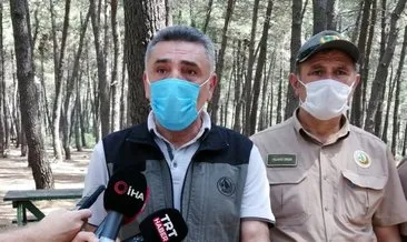 Son dakika haberler: İstanbul’da ormanlarda yürümek, piknik yapmak serbest mi? Orman Bölge Müdürü açıkladı