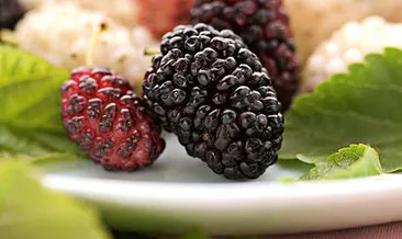 Kaynatıp içilirse...İşte dut hakkında çarpıcı gerçek!