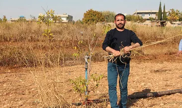 Mevsimlik işçiydi, patron oldu!
