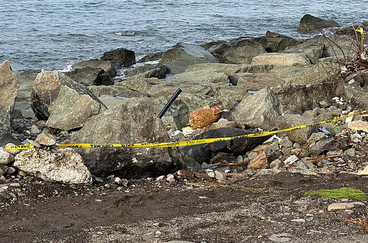 Rize’de sahil kenarında patlamamış ‘su altı bombası’ bulundu!