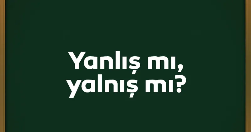 yanlis nasil yazilir yalnis mi yanlis mi tdk ile dogru yazimi kultur sanat haberleri