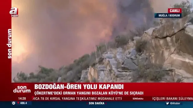 Bodrum’da yeni yangın! Bozdoğan-Ören yolu kapandı | Video