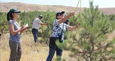 Kuzey Marmara Otoyolu güzergâhına 604 bin fidan