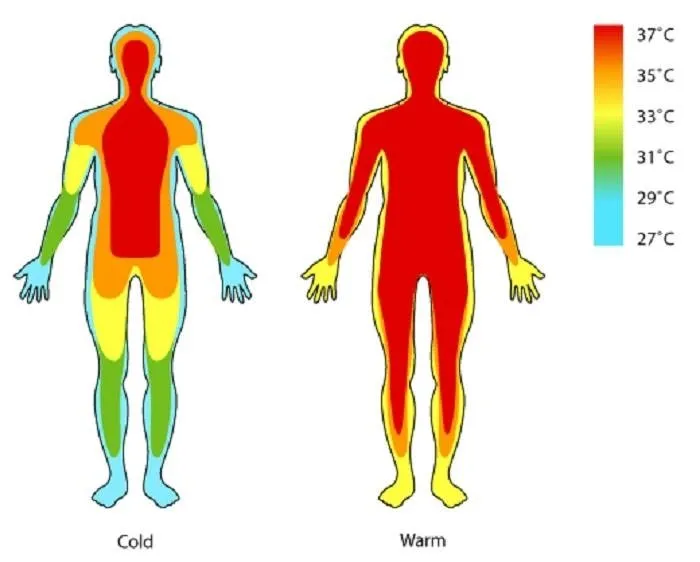 Normal vücut ısısı kaç derece olmalı? Yüksek ateş kaç derece, ateş