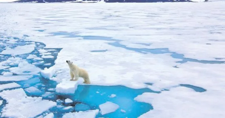 Dünyanın gözü kulağı kuzeyde