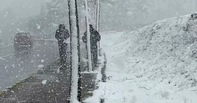 istanbulda-beklenen-kar-yagisi-basladi-1767124450893.png (870×456)