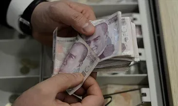 TL’ye dönüşüm için esnek uygulama