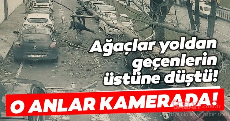 İstanbul’da şiddetli fırtına kendini gösterdi! Okmeydanı Darülaceze Otoparkı’nda çınar ağacı 4 aracın üzerine devrildi