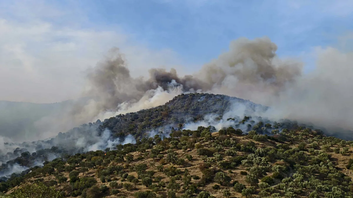 Aydın’da orman yangını – Yaşam Haberleri