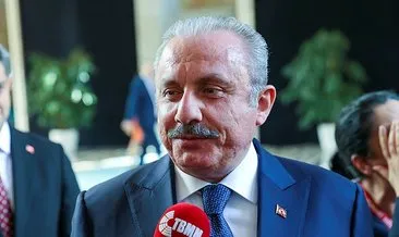 TBMM Başkanı Şentop’tan Kürtçe iddialarına cevap: ’Bilinmeyen dil’ değil, ’Türkçe olmayan kelime’ yazılıyor