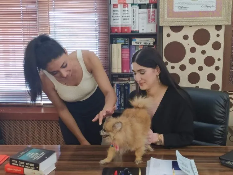 Sosyal medyadan gördüğü ilanla köpek sahiplenen genç kadına dava! En