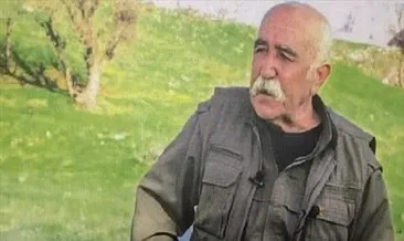 Son dakika... PKK’nın sözde yöneticisi Ali Haydar Kaytan öldürüldü! Cesedi gömen teröristlere infaz