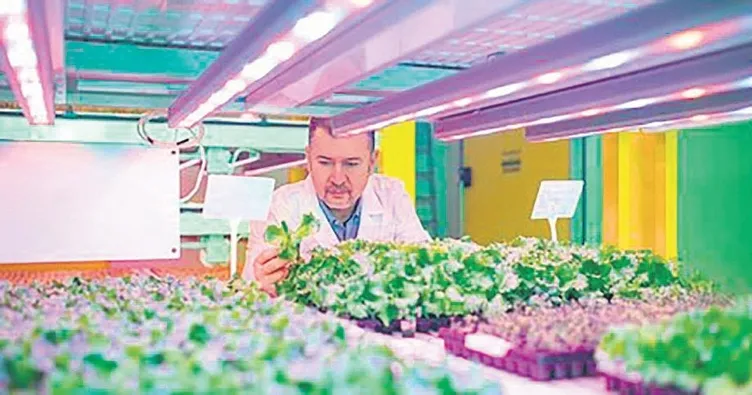 Yerli ‘Bitki Fabrikası’ üretime başladı