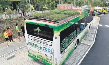 Şehirler sıcağa savaş açtı