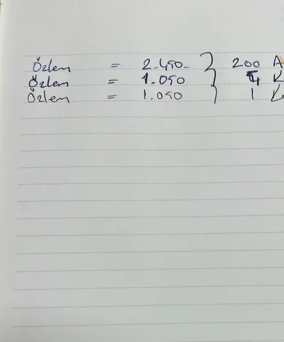 Türkiye’ye tatile gelen Rus jinekolog Oksana’ya fuhuş tuzağı: Her şey Mardin’de başlamış!