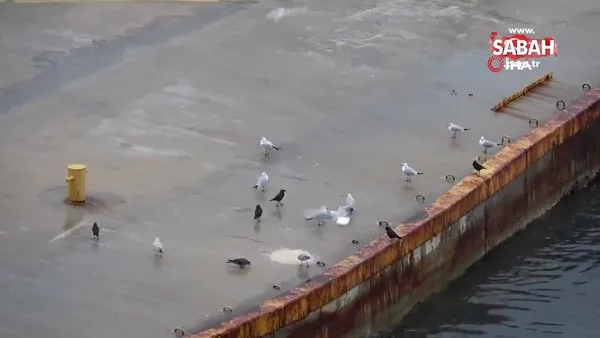 Çanakkale’de, Gelibolu-Lapseki feribot seferlerine fırtına engeli | Video
