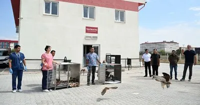 AKÜREM’de sağlıklarına kavuşan 60 yırtıcı kuş doğaya bırakıldı #afyonkarahisar