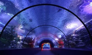 Dünyanın 5. büyük akvaryumu: Antalya