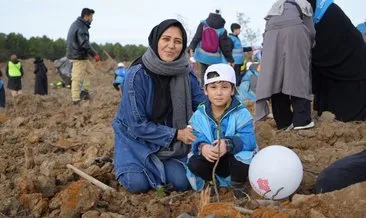 Şile’de 100 bin ağaç dikimi yapıldı