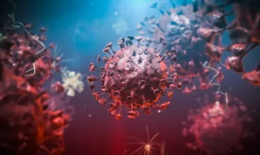 Yeni kabus: Marburg Humması | Marburg Humması nedir, belirtileri nelerdir, hangi ülkelerde var?