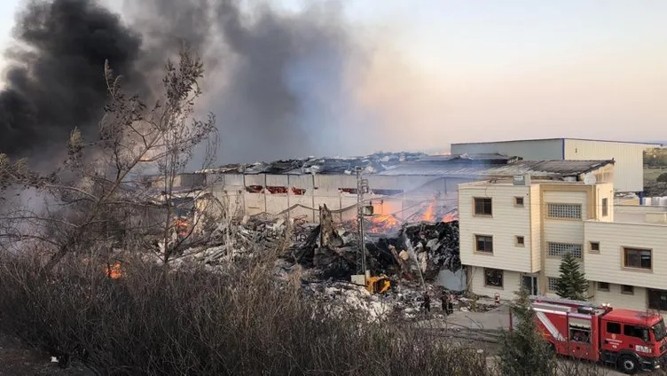 Son dakika! Hatay'daki yangında son durum! Bakan Pakdemirli'den yangında sabotaj iddialarına açıklama