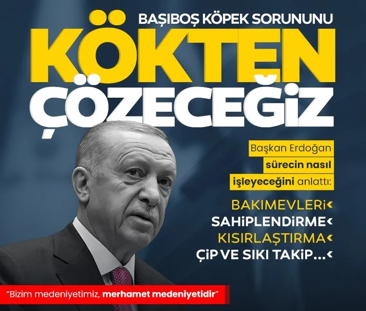 Başkan Erdoğan başıboş köpek sorununun nasıl çözüleceğini anlattı: Bakımevleri, sahiplendirme, kısırlaştırma, çip ve sıkı takip…