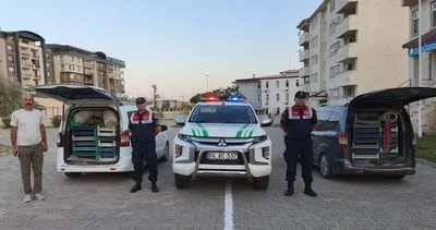 Doğubayazıt'ta kaçak avlanan 240 kilogram kurbağa doğaya salındı #agri