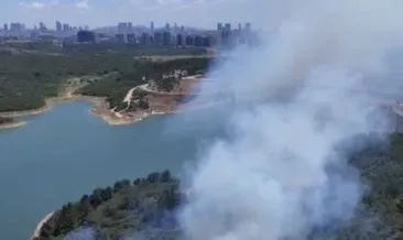 Son dakika: Sultangazi Kent Ormanı'ndaki yangın kontrol altına alındı! Soğutma işlemleri sürüyor... #istanbul