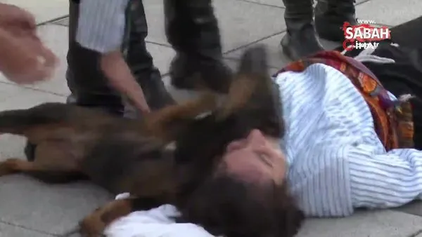 Kocaeli'de yürek ısıtan görüntü... Sahipsiz köpek, yaralı sandığı tiyatro oyuncusundan ayrılmak istemedi | Video