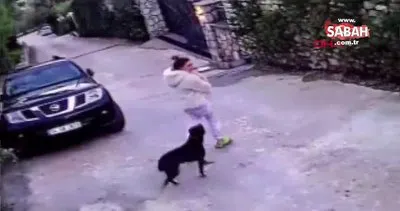 Muğla’de kızını ısıran köpeği ezdiği öne sürülen anneden açıklama Köpeği kasıtlı ezmedim | Video