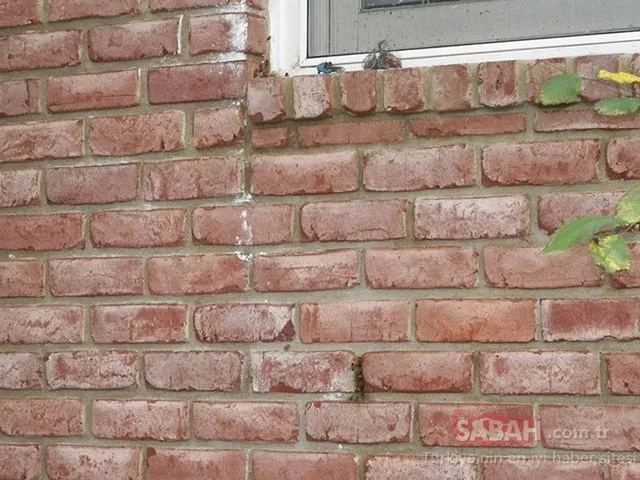 Evinin duvarını yıktı çıkanlara inanamadı!