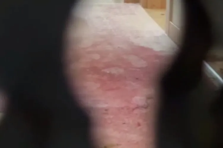 Zonguldak'ta anne ve anneannesini vahşice öldürmüştü! Rabia Çataklı ifadesinde her şeyi anlattı: Eve böyle çağırmış!