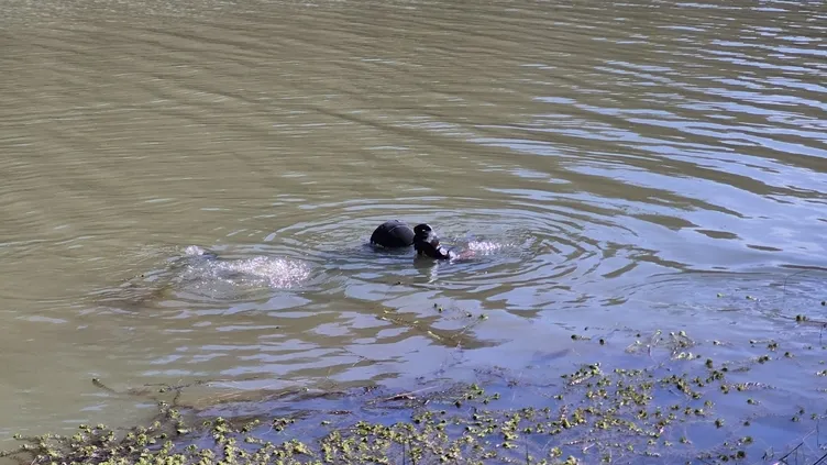 SON DAKİKA! Belgrad Ormanı'nda kaybolmuştu! Peyzaj mimarı Ece Gürel sağ olarak bulundu