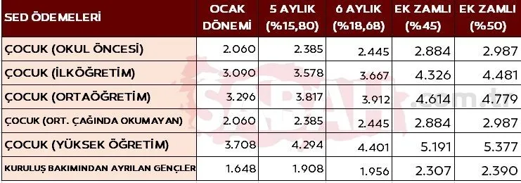 EMEKLİ VE MEMURA 3'LÜ REKOR ZAM! Başkan Erdoğan'dan yeni müjdeler: Temmuzda emekli, memur maaşları ne kadar olacak?