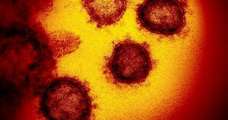 Çinli bilim insanından çok önemli uyarı! Yeni tip koronavirüsü kalıcı olabilir
