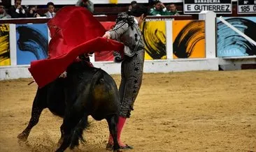 İspanyol matadorlar siyasete giriyor
