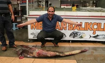 2 metrelik dev balık görenleri şaşkına çevirdi