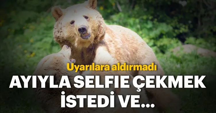 Selfie çekmek isterken ayı tarafından öldürüldü