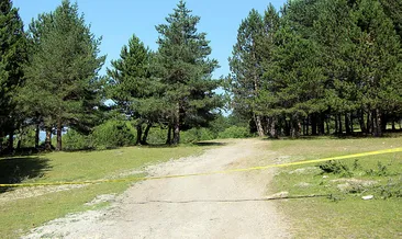Bolu’da orman yolları şeritle kapatıldı