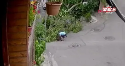 İstanbul Üsküdar’da ağaç bisikletli çocuğun üstüne devrildi | Video