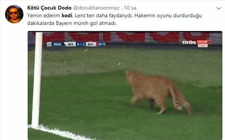 Beşiktaş-Bayern Münih maçında sahaya giren kedi sosyal medyayı salladı