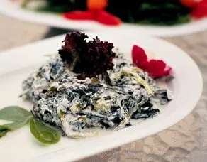 Yoğurtlu Radika