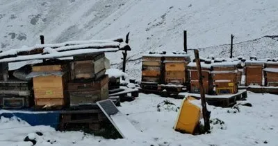 Rize'de yüksek kesimlere kar yağdı #rize