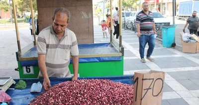 Şanlıurfa’da fıstık fiyatları düştü #sanliurfa