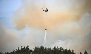 Adana’da ormanlık alanda yangın çıktı: 6 kişi gözaltında! #adana