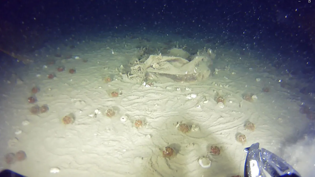 THY’nin 51 yıl önce düşen uçağının enkazından yeni parçalar bulundu THY’nin 51 yıl önce düşen uçağının enkazından yeni parçalar bulundu