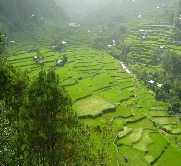 Dünyanın 8. harikası Banaue